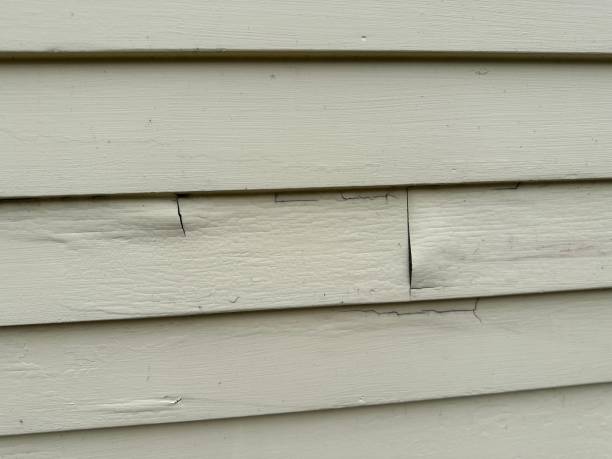 Best Siding for New Construction  in USA